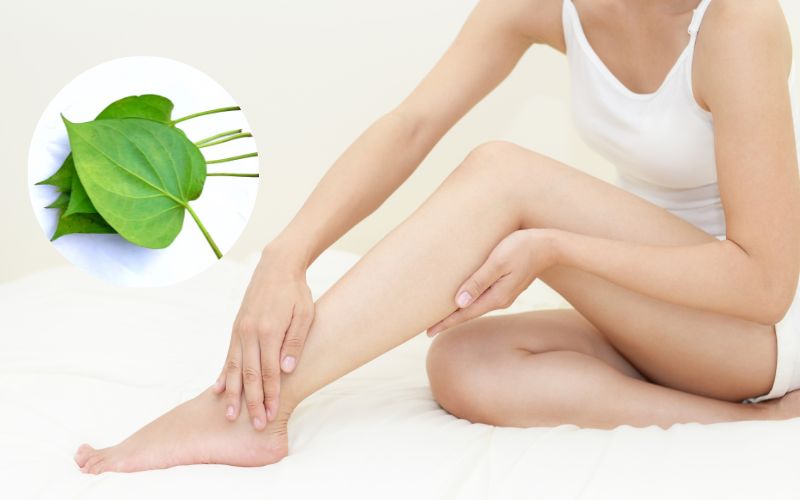 Lá trầu không giúp tẩy lông chân và tránh tình trạng viêm da sau triệt lông