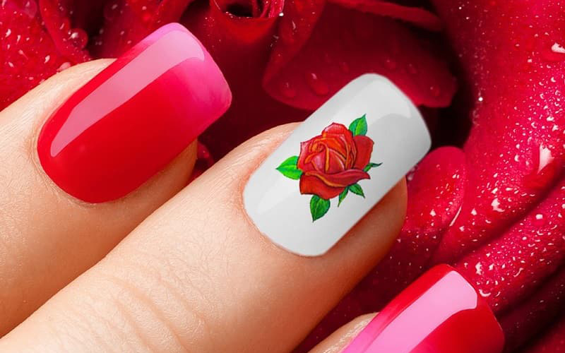 Nail hoa hồng là sự lựa chọn yêu thích của các chị em thích sự nữ tính
