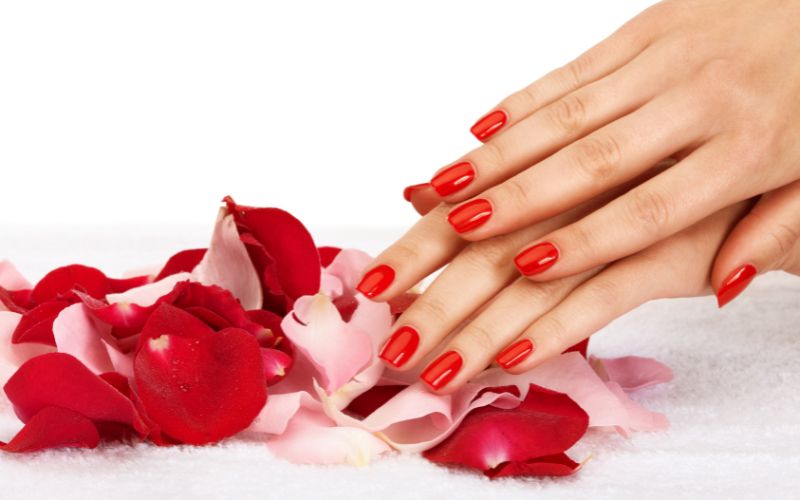 Da màu bánh mật có thể lựa chọn đỏ cánh sen để tăng thêm sự sang trọng, cuốn hút