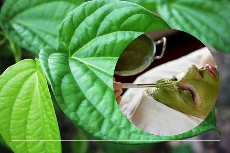 làm đẹp với lá trầu 2