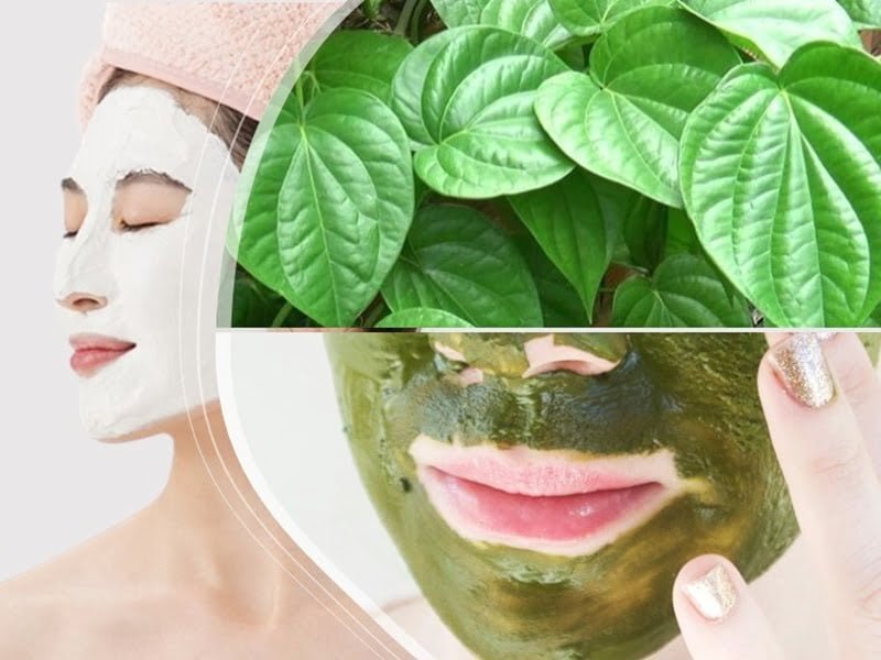 làm đẹp với lá trầu 3